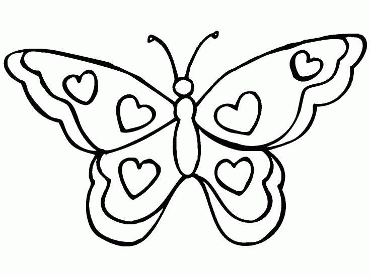 Vlinder